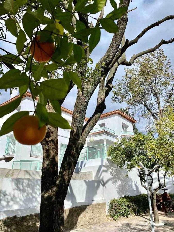 Apartmán Nuevo Los Almendros 202 Complejo Turistico Córdoba Exteriér fotografie